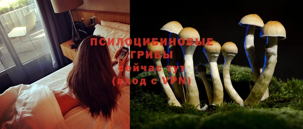 альфа пвп Киреевск