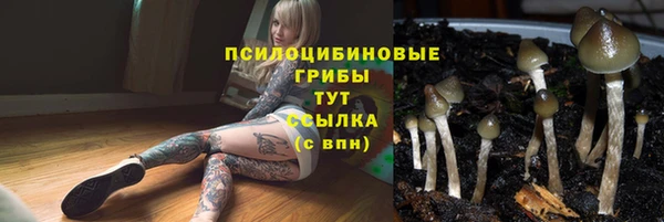 альфа пвп Киреевск