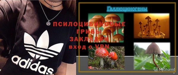 мяу мяу мука Кинешма