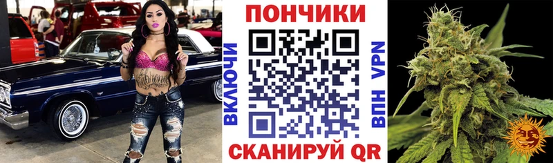 Купить закладки  Анива  Канабис планчик 